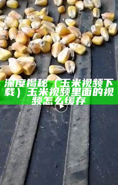 深度揭秘（玉米视频下载）玉米视频里面的视频怎么缓存