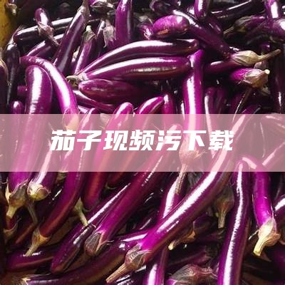 茄子现频污下载