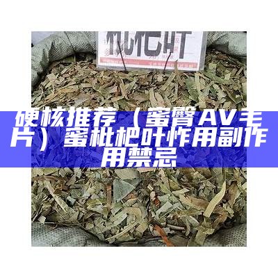 硬核推荐（蜜臀AV毛片）蜜枇杷叶怍用副作用禁忌