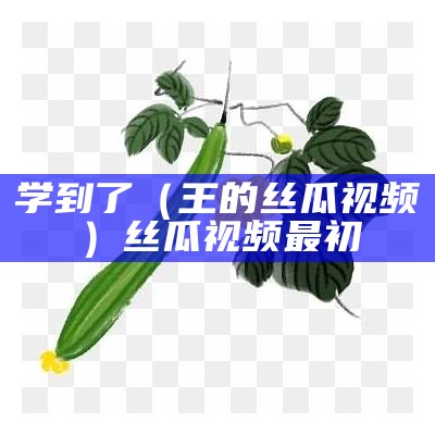 学到了（王的丝瓜视频）丝瓜视频最初