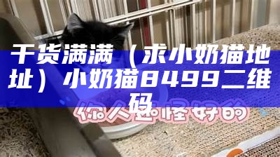 干货满满（求小奶猫地址）小奶猫8499二维码