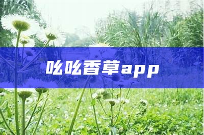 吆吆香草app