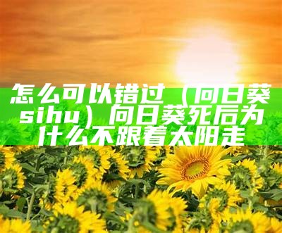 怎么可以错过（向日葵sihu）向日葵死后为什么不跟着太阳走