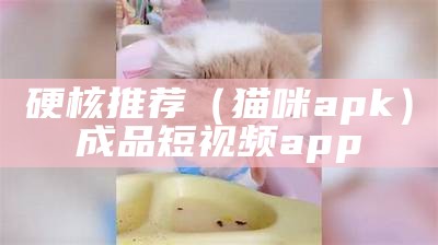 硬核推荐（猫咪apk）成品短视频app（“猫咪视频app”）