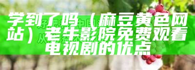 学到了吗（麻豆黄色网站）老牛影院免费观看电视剧的优点