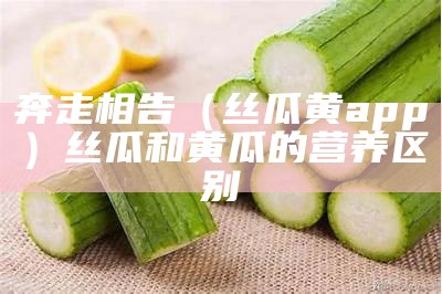 奔走相告（丝瓜黄app）丝瓜和黄瓜的营养区别（丝瓜和黄瓜怎么做好吃）