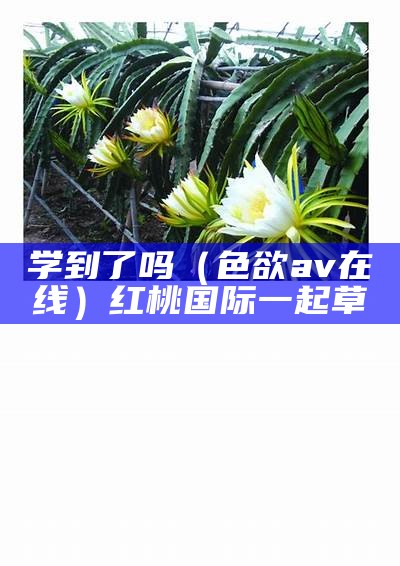 学到了吗（色欲av在线）红桃国际一起草