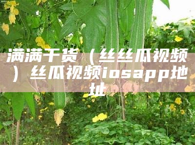 满满干货（丝丝瓜视频）丝瓜视频iosapp地址