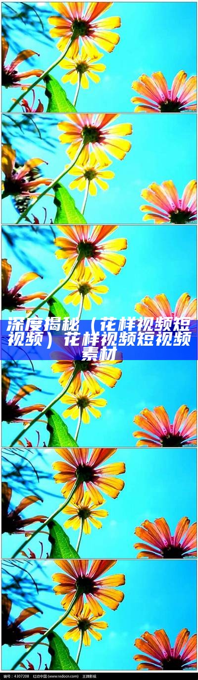 深度揭秘（花样视频短视频）花样视频短视频素材