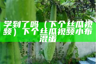 学到了吗（下个丝瓜视频）下个丝瓜视频小布混蛋