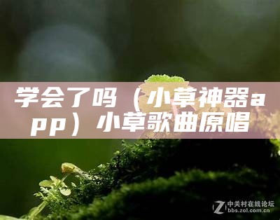 学会了吗（小草神器app）小草歌曲原唱（学会了吗表情包图片）