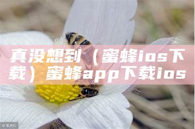 真没想到（蜜蜂ios下载）蜜蜂app下载ios