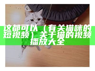 这都可以（有关猫咪的短视频）关于猫的视频播放大全