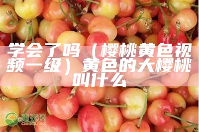 学会了吗（樱桃黄色视频一级）黄色的大樱桃叫什么