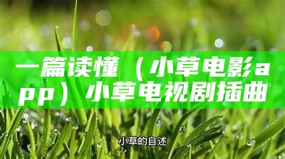 一篇读懂（小草电影app）小草电视剧插曲（小草影视是啥）