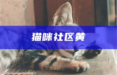 猫咪社区黄（猫咪社区.apk rename）