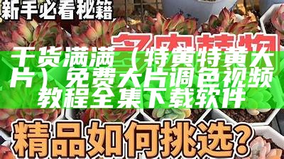 干货满满（特黄特黄大片）免费大片调色视频教程全集下载软件