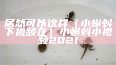 居然可以这样（小蝌蚪下视频在）小蝌蚪小视频2021（小蝌蚪小视频在线下载）