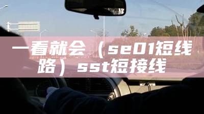 一看就会（se01短线路）sst短接线