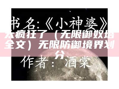 太疯狂了（无限御奴塔全文）无限防御境界划分