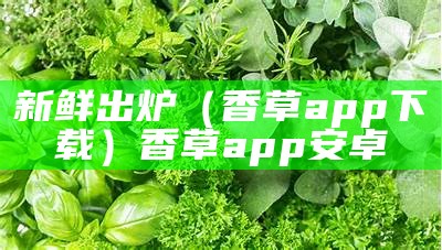 新鲜出炉（香草app下载）香草app安卓