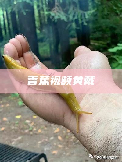 香蕉视频黄戴