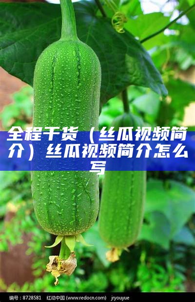 全程干货（丝瓜视频简介）丝瓜视频简介怎么写