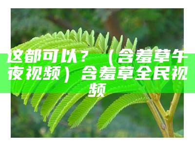 这都可以？（含羞草午夜视频）含羞草全民视频