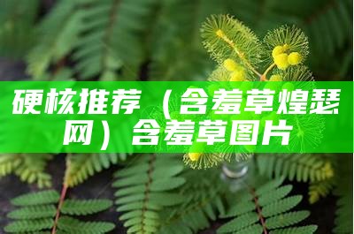 硬核推荐（含羞草煌瑟网）含羞草图片（含羞草趼究所网站）